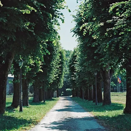 Meli Lupi - Residenze Temporanee Апартаменты Парма